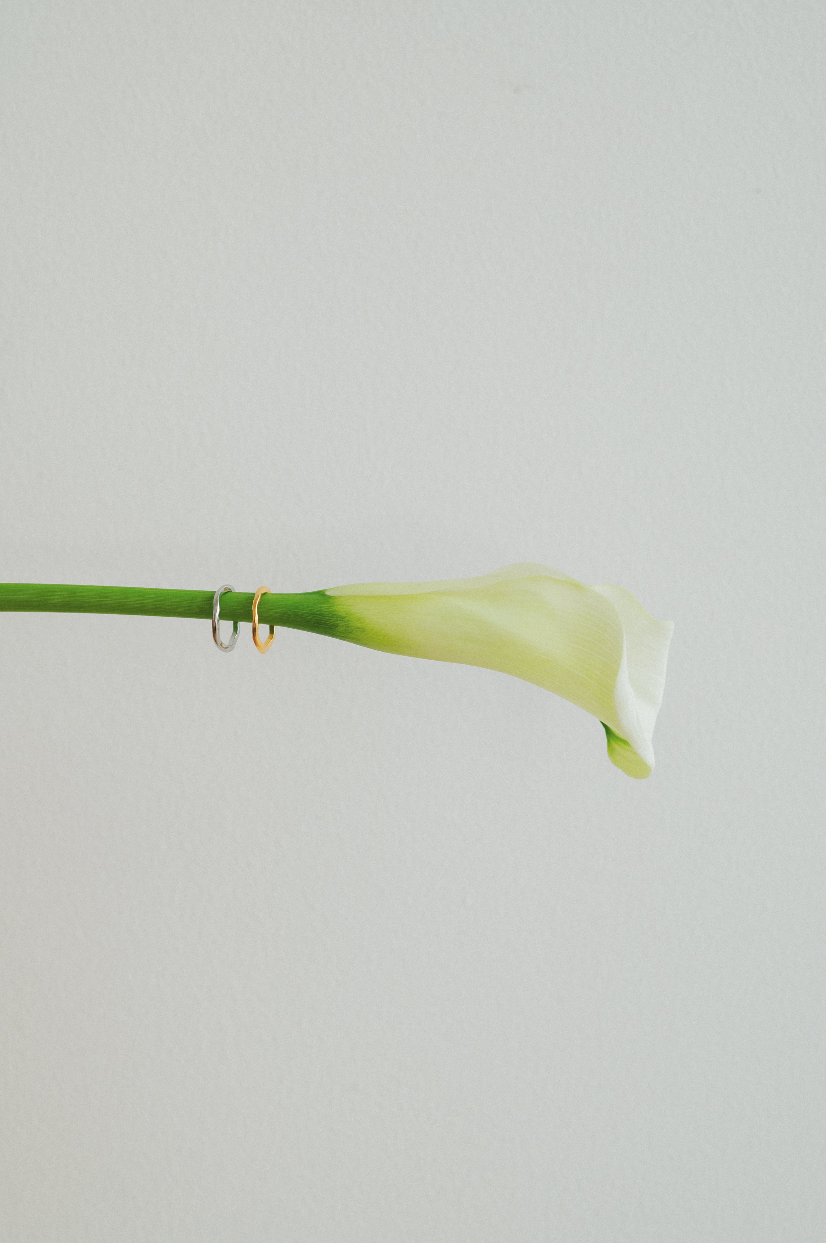 【Changes】Nuance Wave Ring