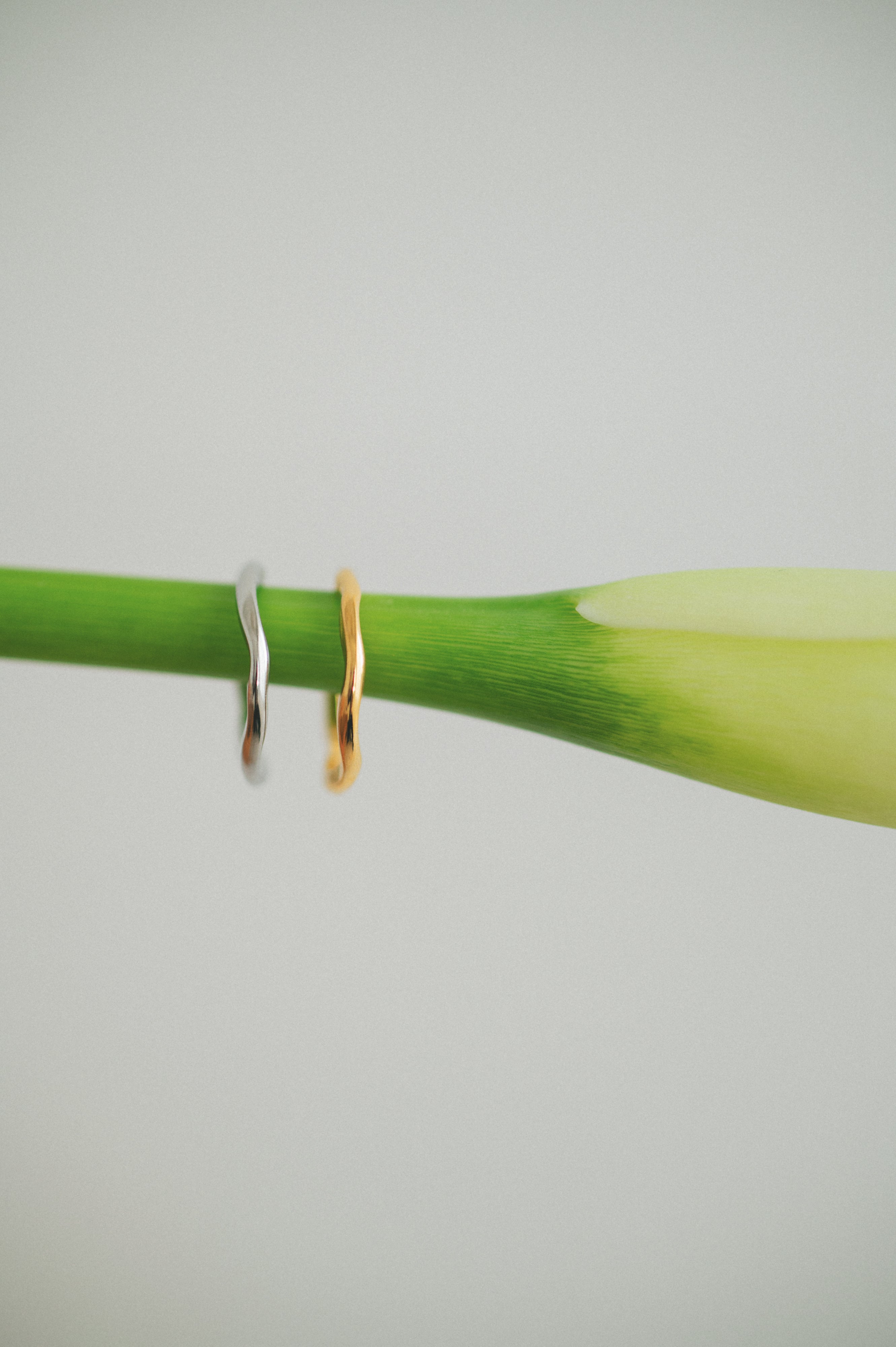 【Changes】Nuance Wave Ring