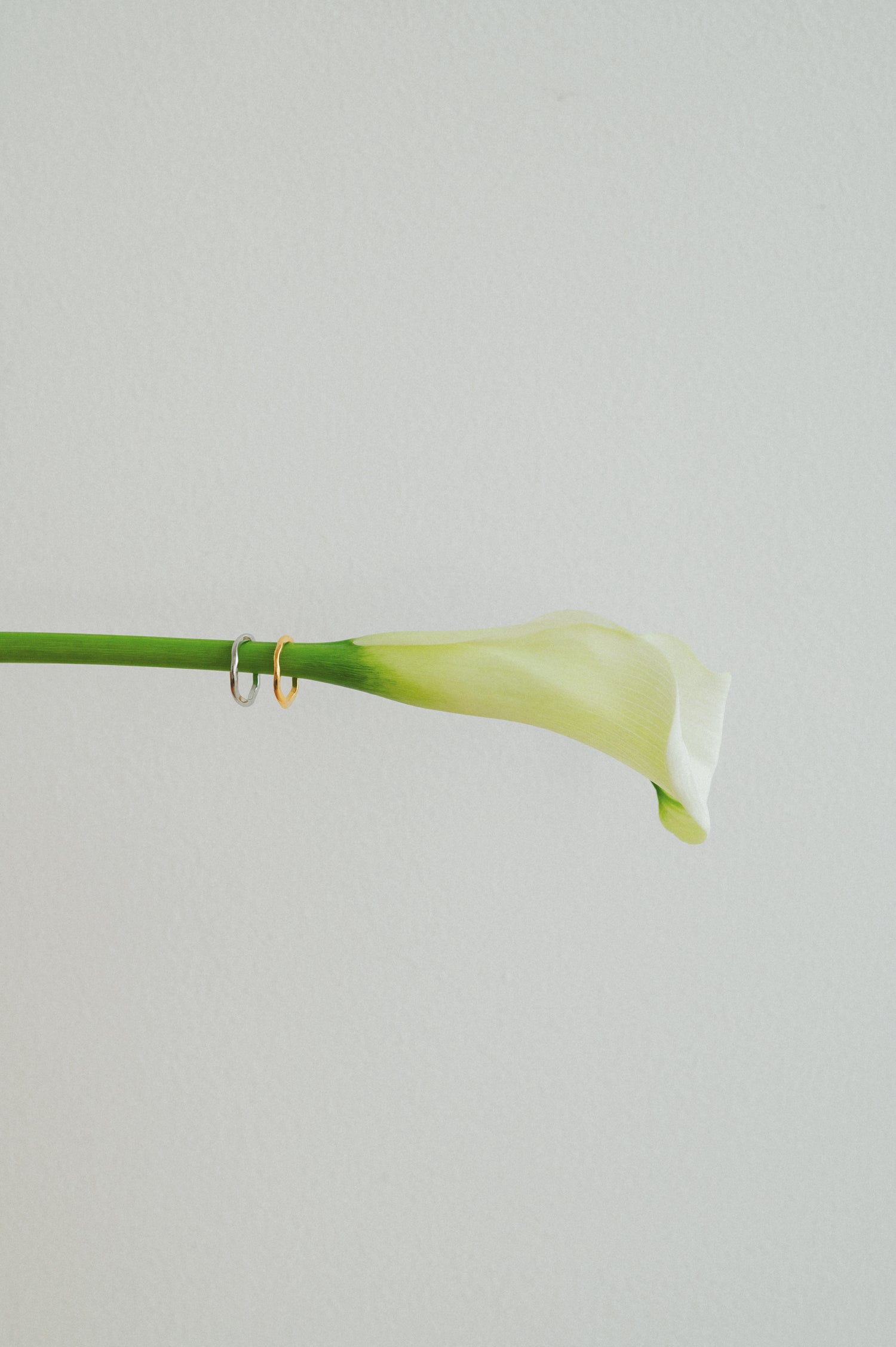 【Changes】Nuance Wave Ring